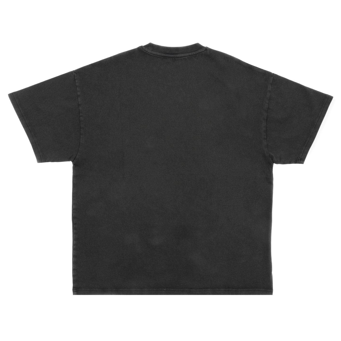 PANJAAB 5 RIVERS OVERSIZED T-SHIRT